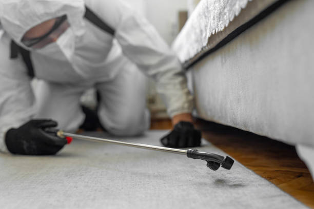 Professional Bed Bug Control technician working in Hertford, NC
